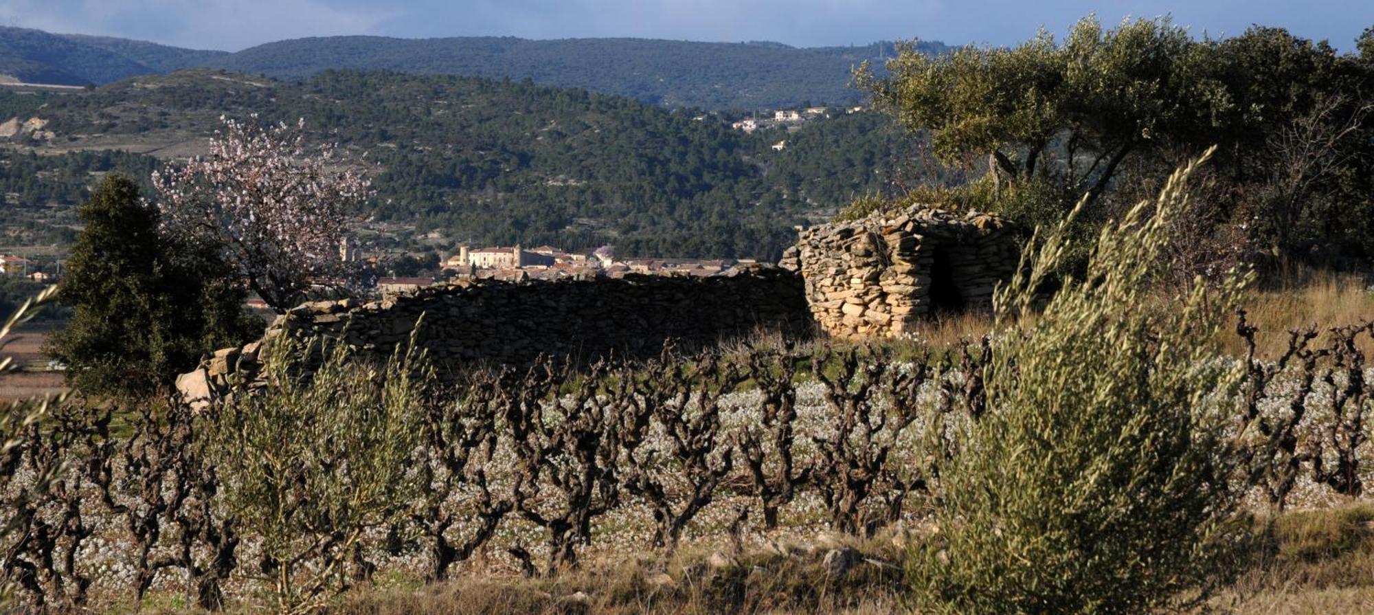 Maison Vigneronne De Bonne Maman - Climatisee Cesseras Екстериор снимка