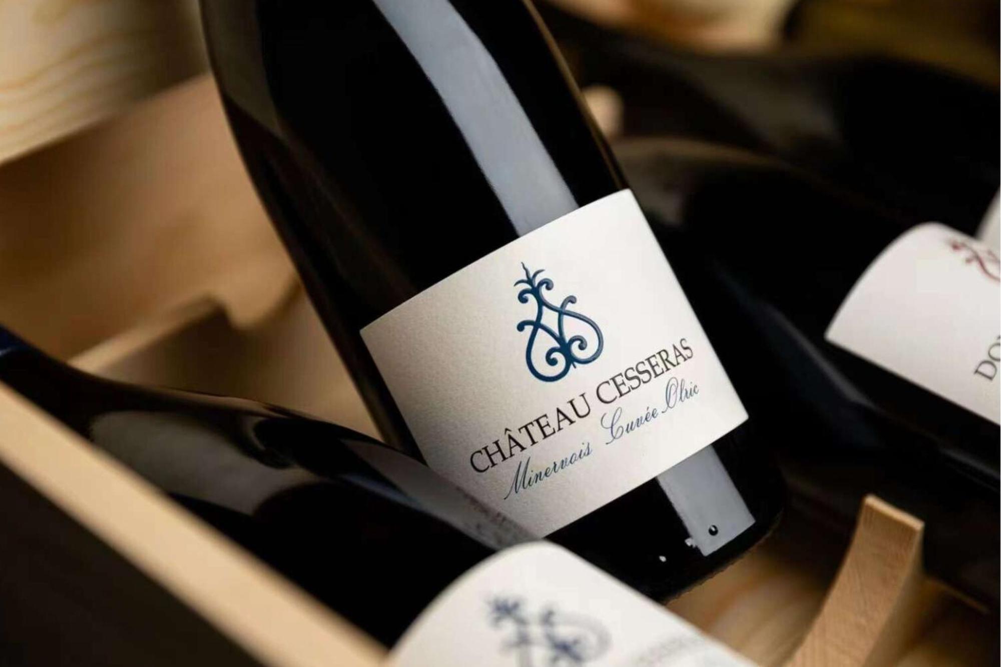 Maison Vigneronne De Bonne Maman - Climatisee Cesseras Екстериор снимка