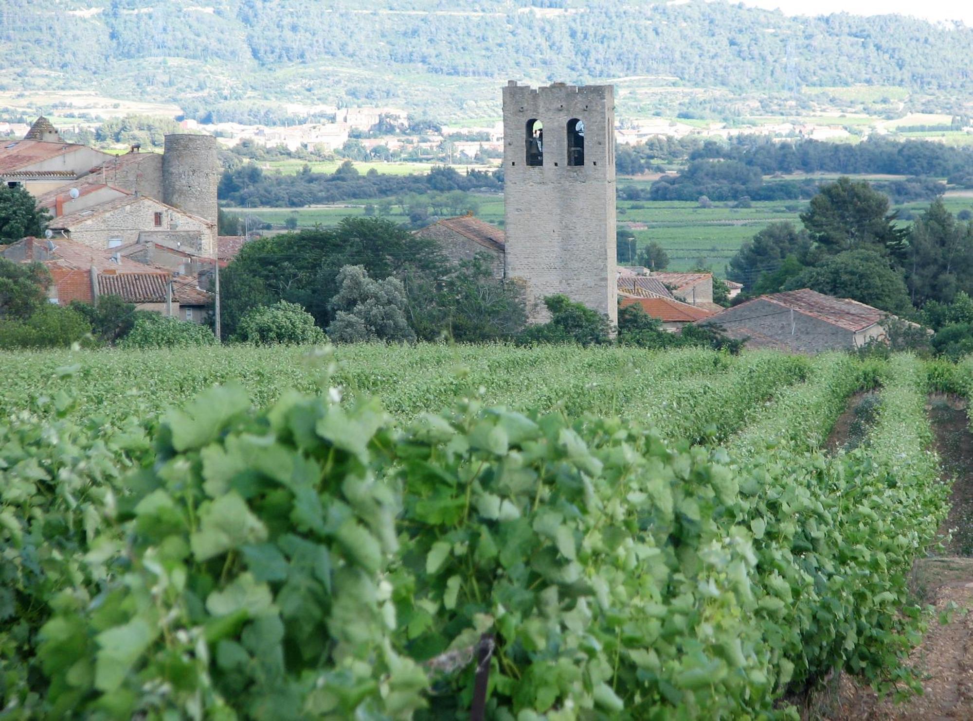 Maison Vigneronne De Bonne Maman - Climatisee Cesseras Екстериор снимка