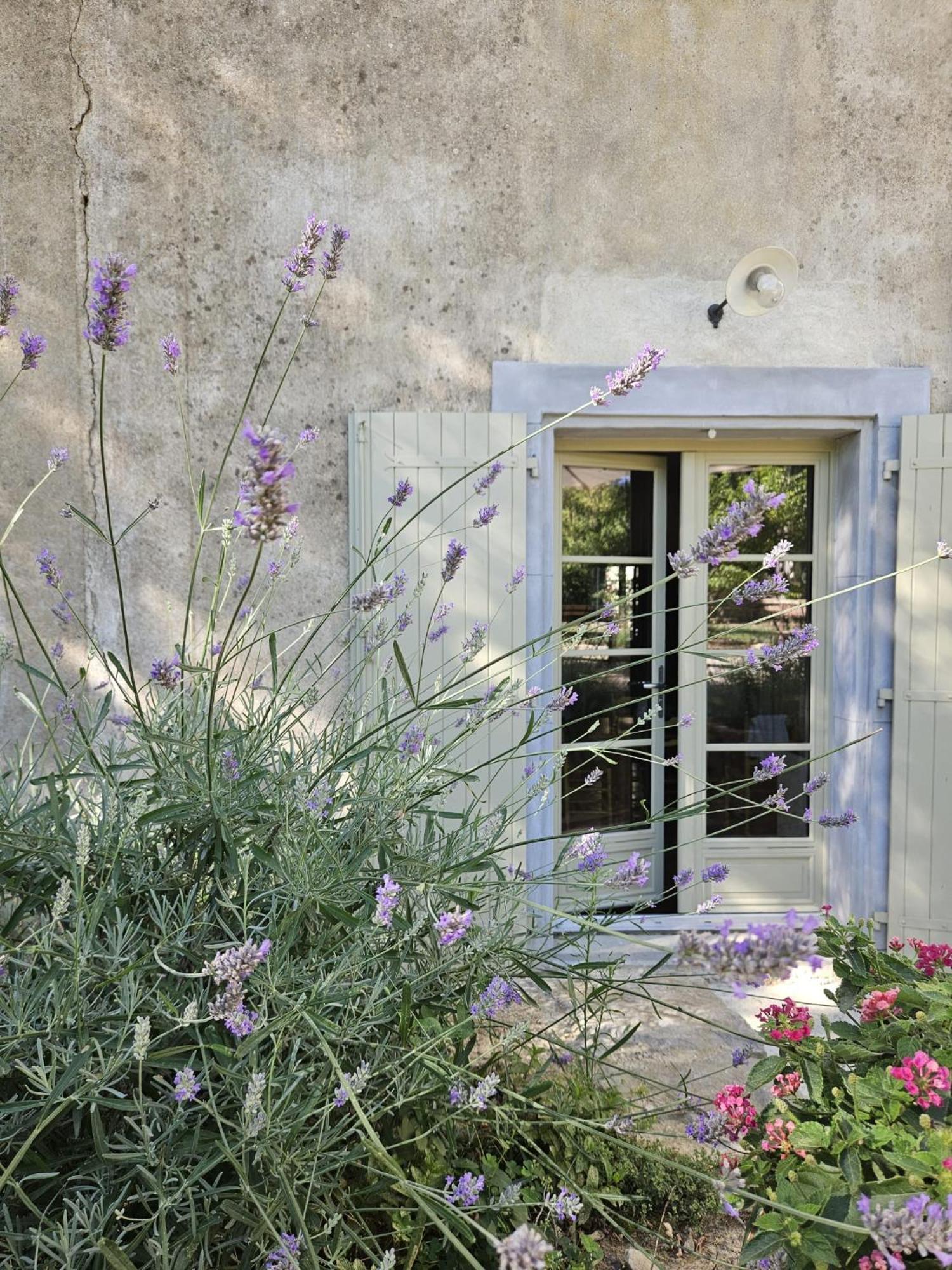 Maison Vigneronne De Bonne Maman - Climatisee Cesseras Екстериор снимка
